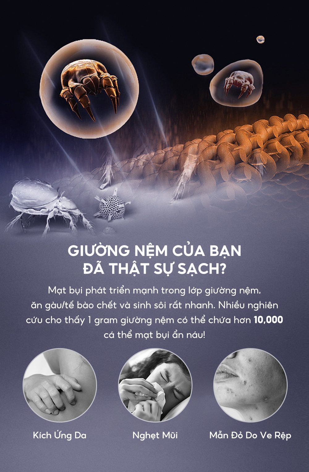 máy hút bụi giường