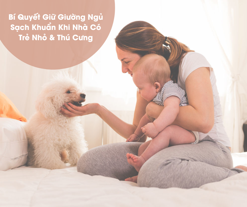 HÚT BỤI GIƯỜNG NỆM