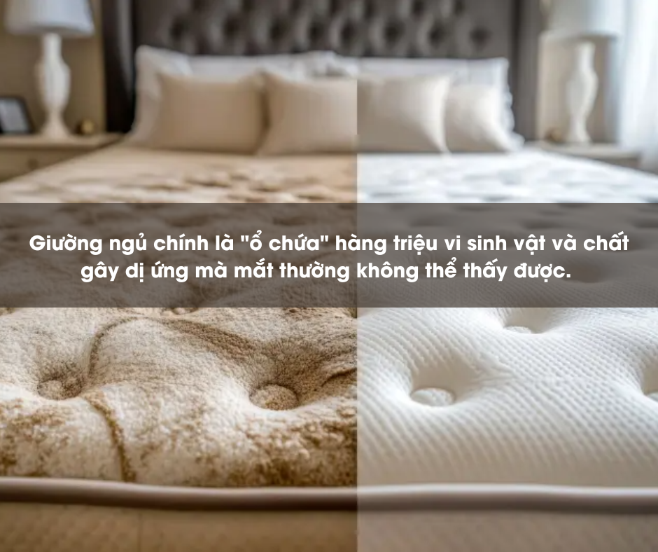 hút bụi giường nệm