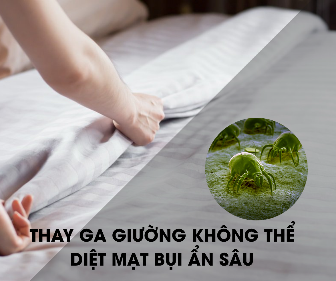 máy hút bụi giường