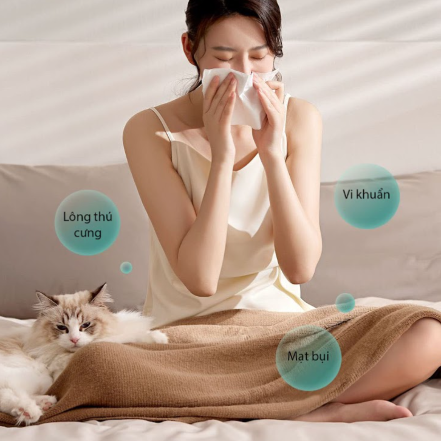 máy hút bụi giường